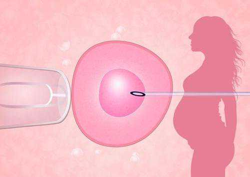香港验血鉴定男女几个D,试管婴儿或人工授精术前检查项目？