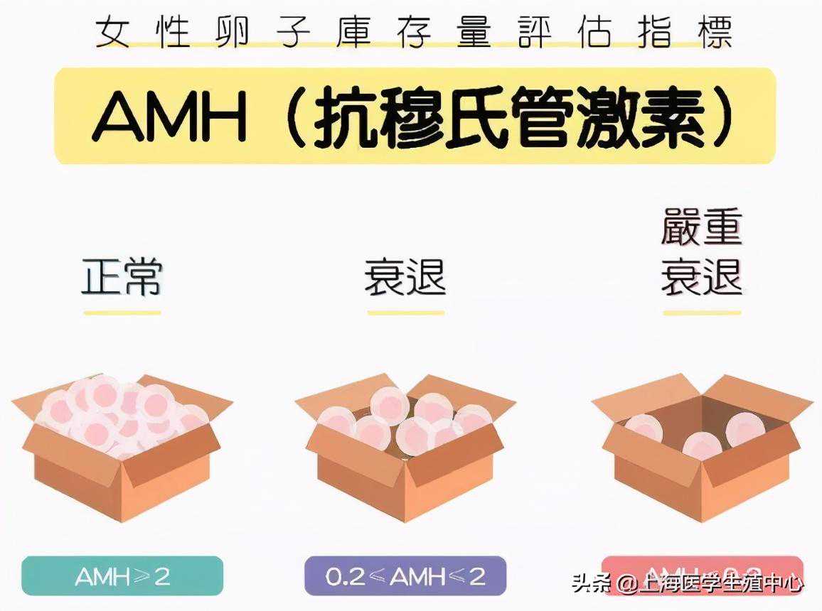 香港验血查性别检测男女结果是儿子,做试管婴儿查AMH的意义是什么?