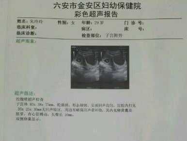 香港验血中介联系,试管移植第十九天hcg正常值多少？移植19天胎儿发育图片