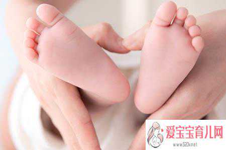 本人香港验血测男女多少钱,备孕期吃什么食物能助孕？多吃黑豆、豆浆类食物
