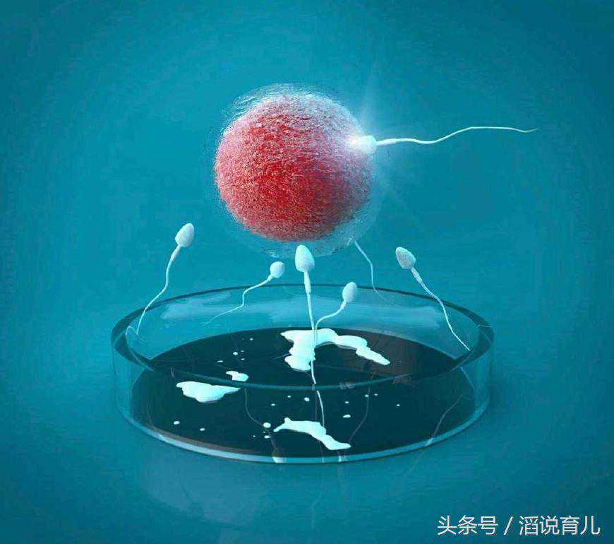 香港5周可以验血吗,自然怀孕vs试管婴儿，哪种方式出生的孩子更有优势，看完
