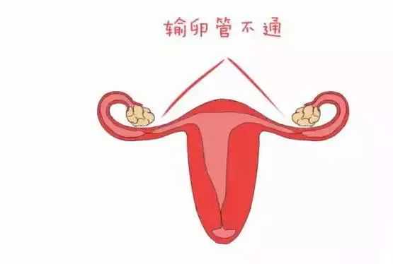 哪个医院都可以抽血拿去香港验血吗,先天性无子宫的女性可以做试管婴儿怀孕